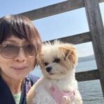 莉歌先生