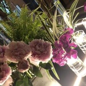 泉川すず花先生