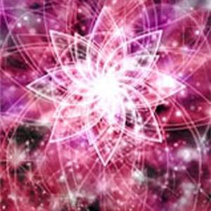 天龍寺青葉先生