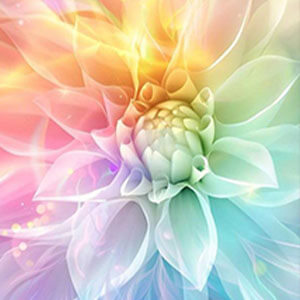 トゥエンシー先生